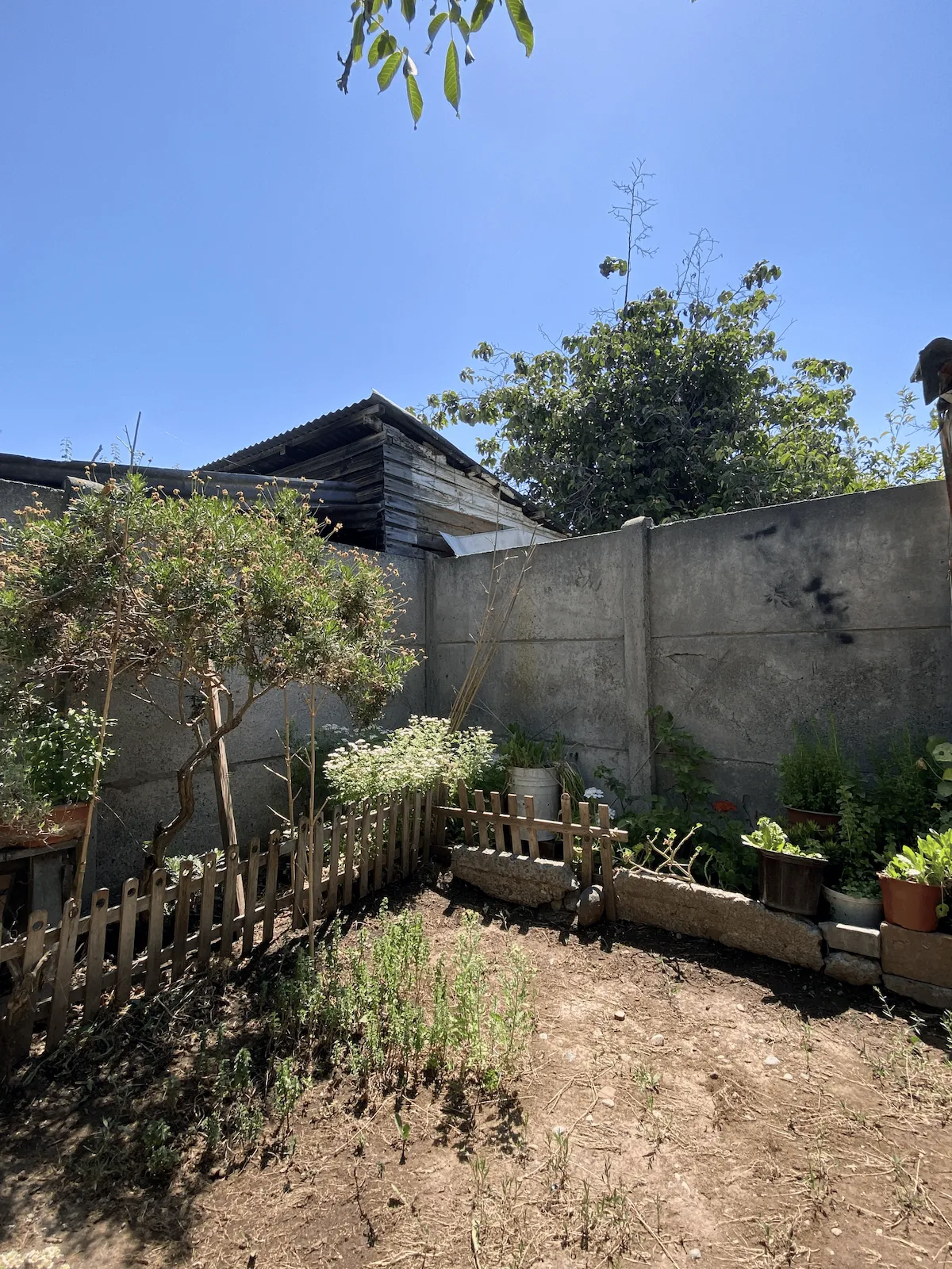 Patio trasero con espacio para huerta o parrilla